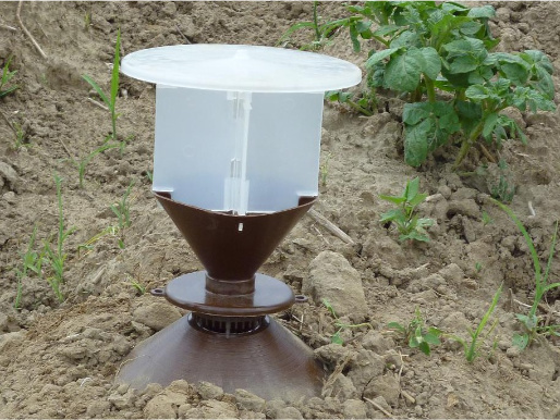 Pułapka feromonowa na drutowce (zdjęcie - Magdalena Jakubowska) Na ziemi stoi biały plastikowy pojemnik przymocowany od dołu do innego, brązowego pojemnika. To pułapka feromonowa