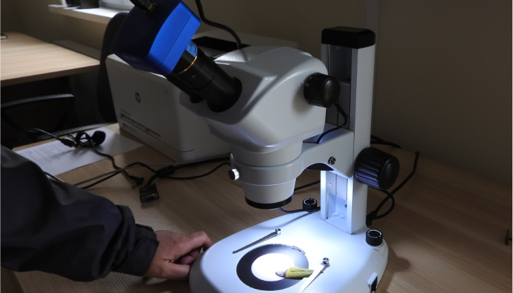 Mikroskop to urządzenie bardzo pomocne w diagnostyce szkodników (zdjęcie - Lidia Spychalska) Na stole leży mikroskop ustawiony na roślinę, która znajduje się na powierzchni przeznaczonej do powiększenia.