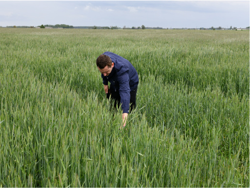 Doradca WODR Paweł Kopaniarz na co dzień współpracuje z Krystianem Szylerem Młody mężczyzna - Paweł Kopaniarz, doradca rolniczy WODR - przegląda uprawy Krystiana Szylera.