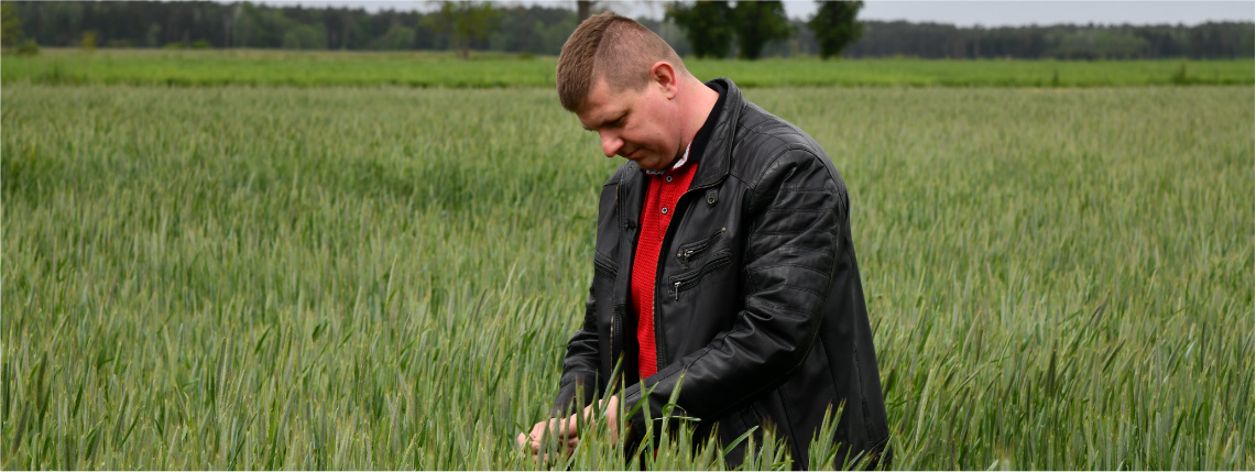 Uprawy Krystiana Szylera są kontrolowane w ramach testów nad platformą eDWIN Pochmurny dzień. Młody mężczyzna, Krystian Szyler, stoi w polu i przegląda uprawę. W tle widać drzewa.