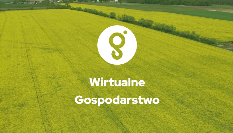 „Wirtualne gospodarstwo” to najważniejsza e-usługa, która powstała w ramach platformy doradczej eDWIN Grafika ukazująca stronę startową wirtualnego gospodarstwa. Na tle zielonego pola widać napis "wirtualne gospodarstwo"